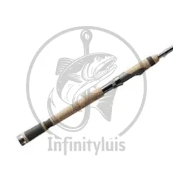 Fenwick HMG Spinning Rod in California